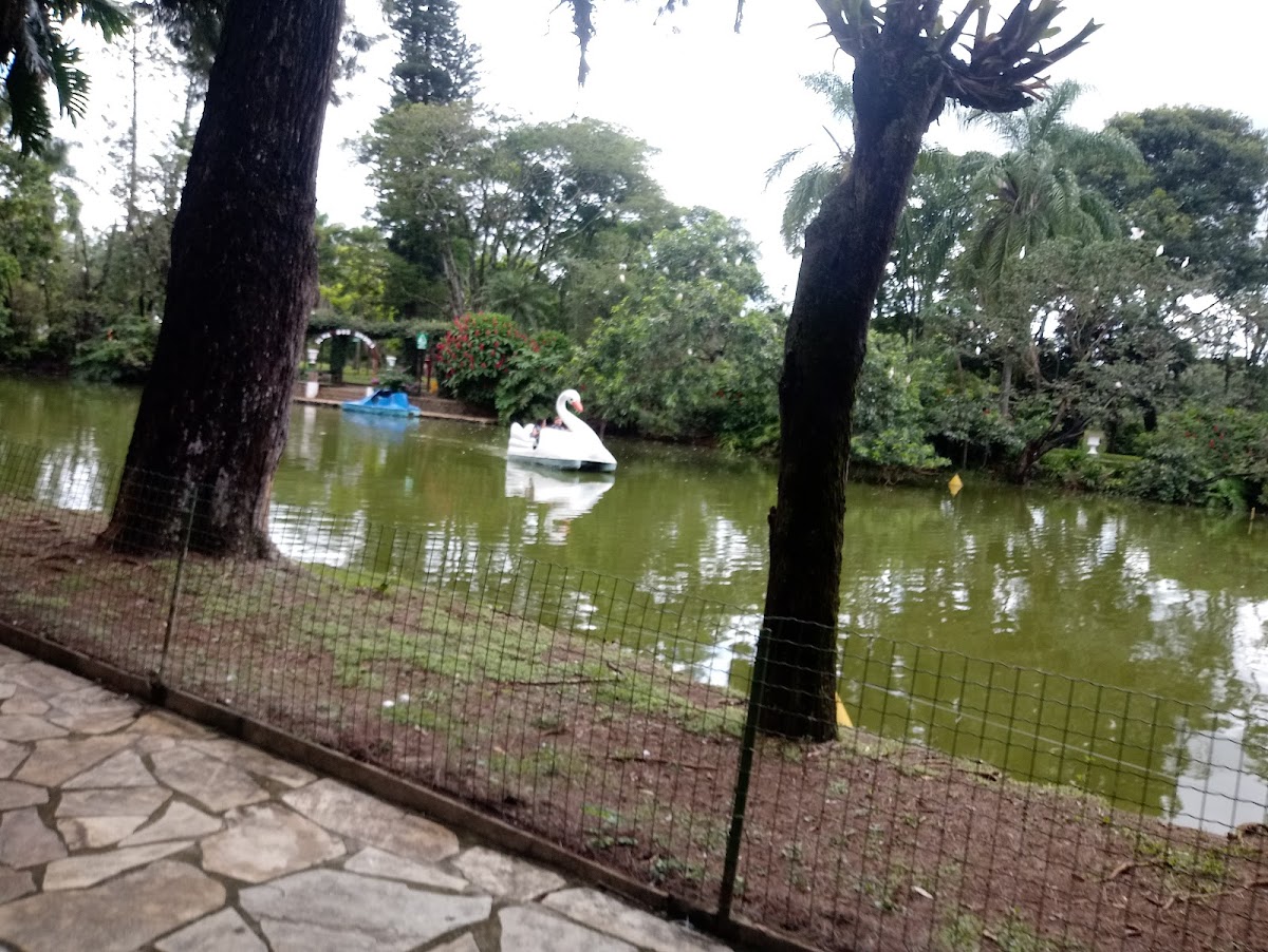 Restaurante Calcadao Photo 3