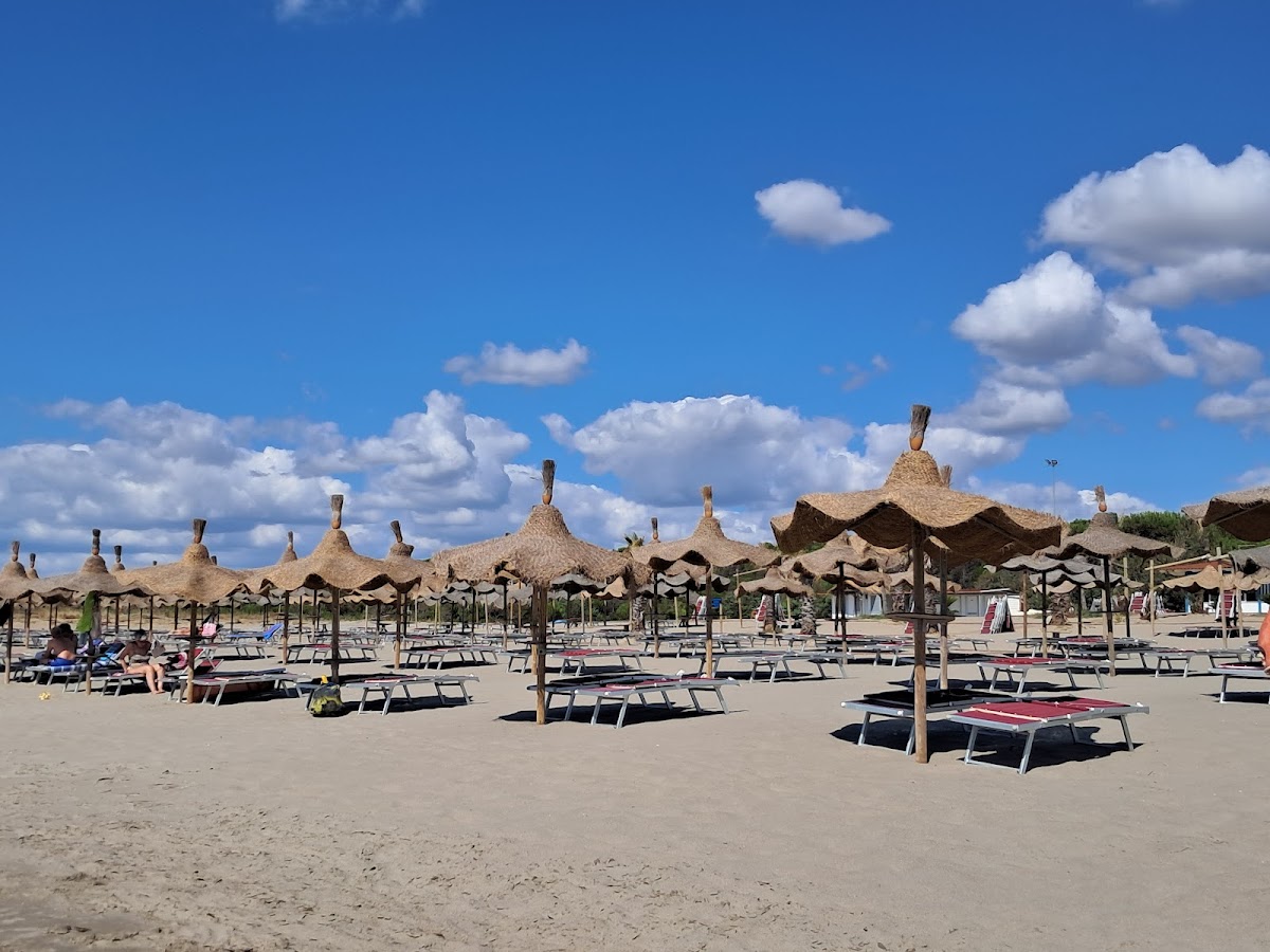Lido - Ristorante La Spiaggetta Photo 3