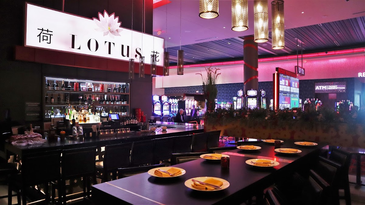 Lotus
