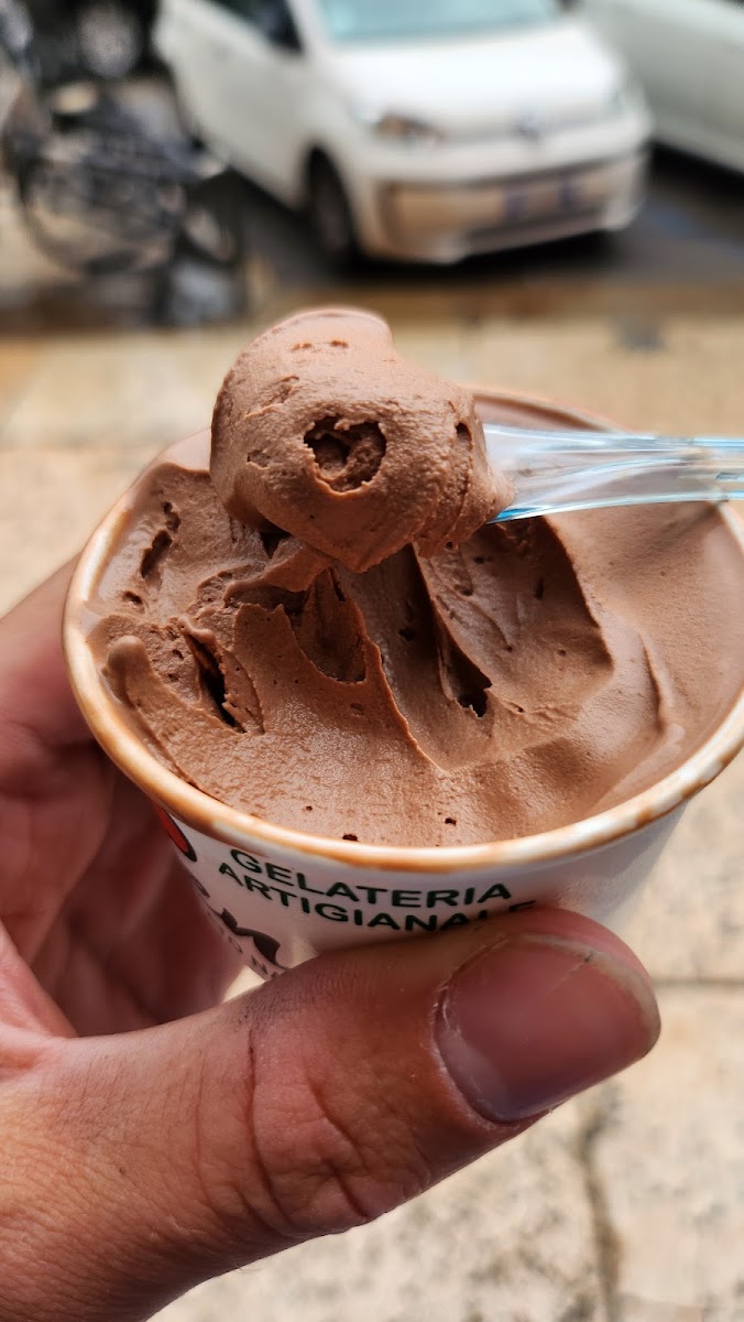 Gelateria yogurteria venere Photo 8