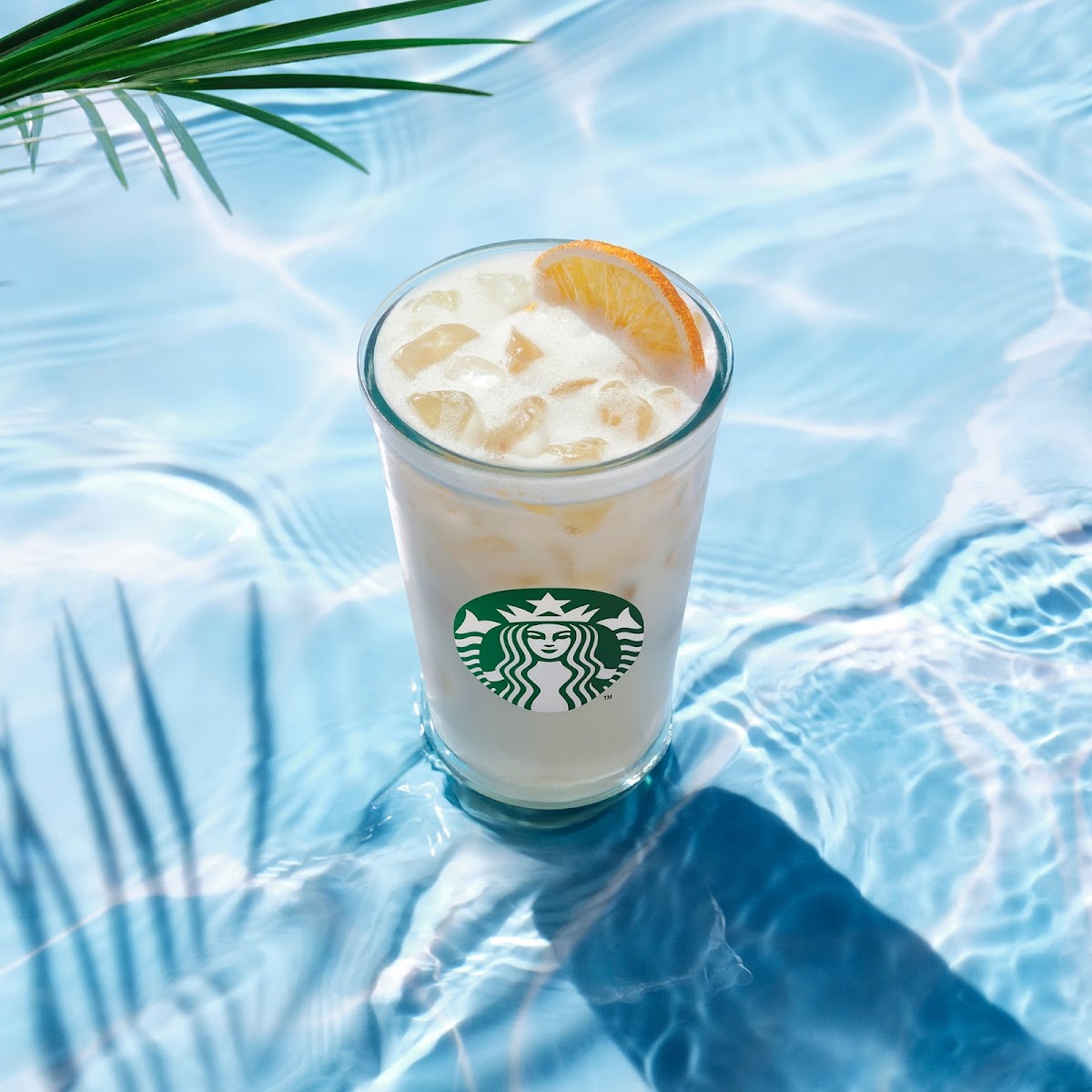 Starbucks Pau Centre-Ville Photo 10