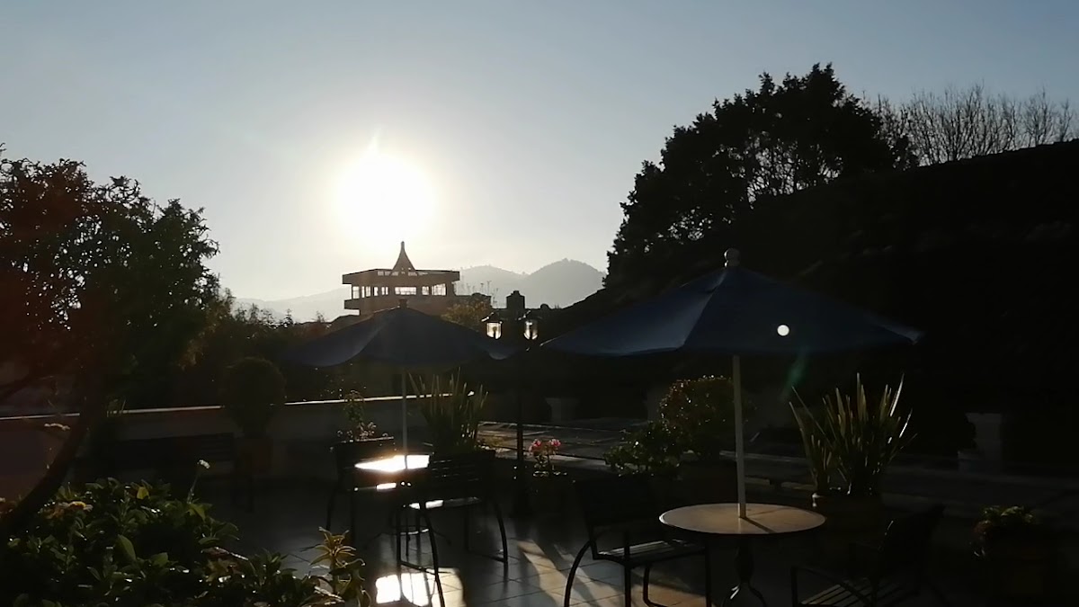 Café Haki Palenque Photo 2