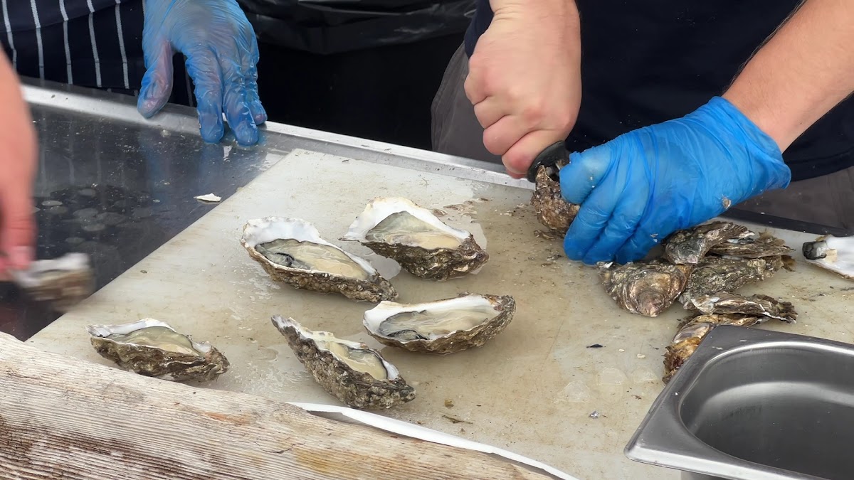The Oyster shed Photo 2