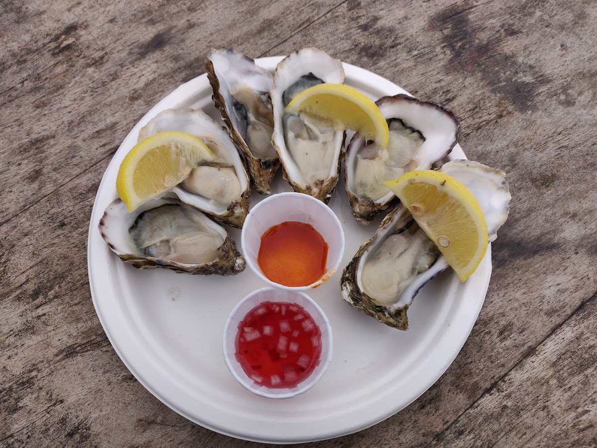 The Oyster shed Photo 5