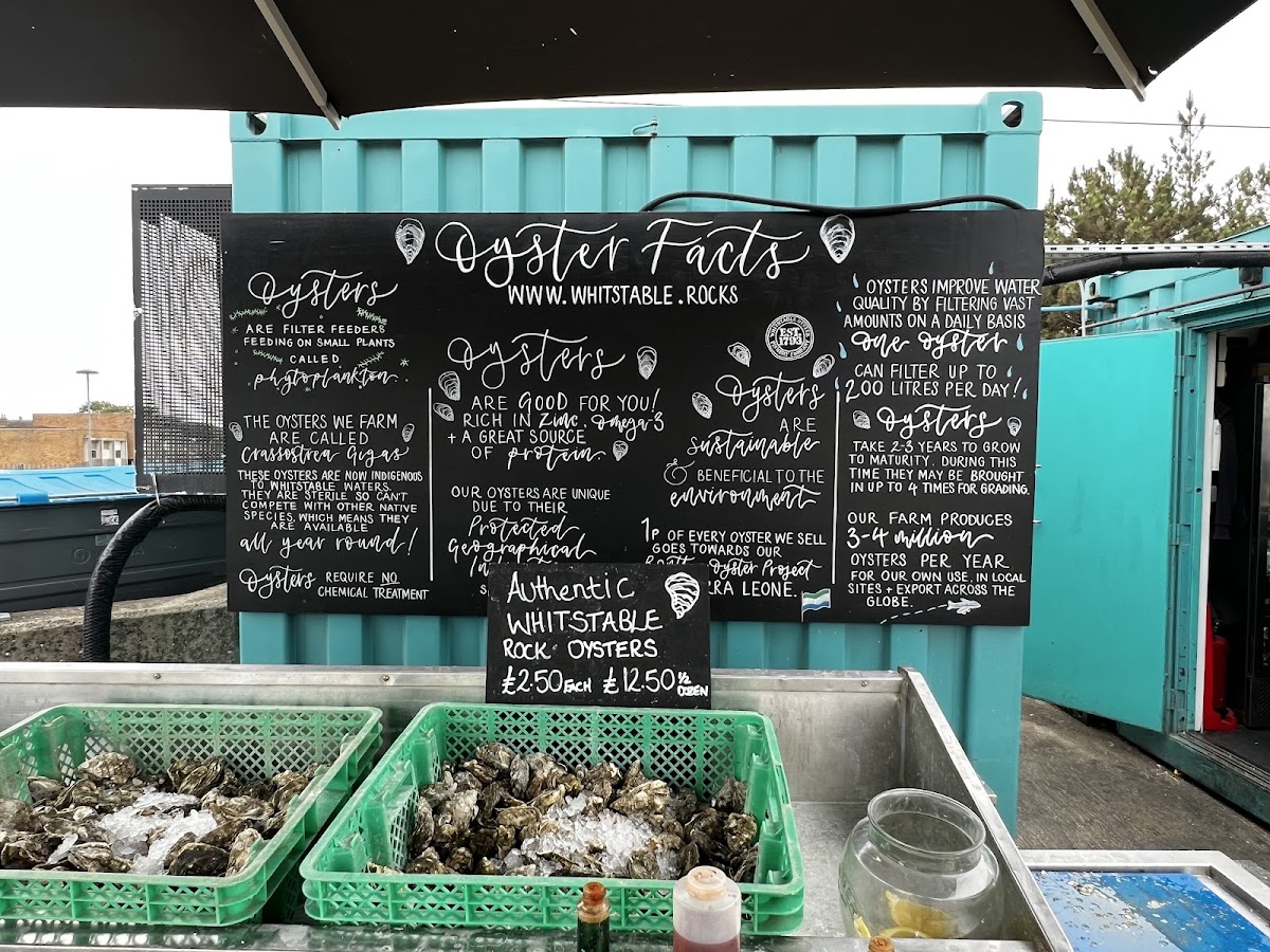 The Oyster shed Photo Menu 8