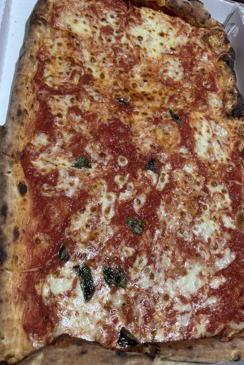 PIZZERIA REGINA Photo 6