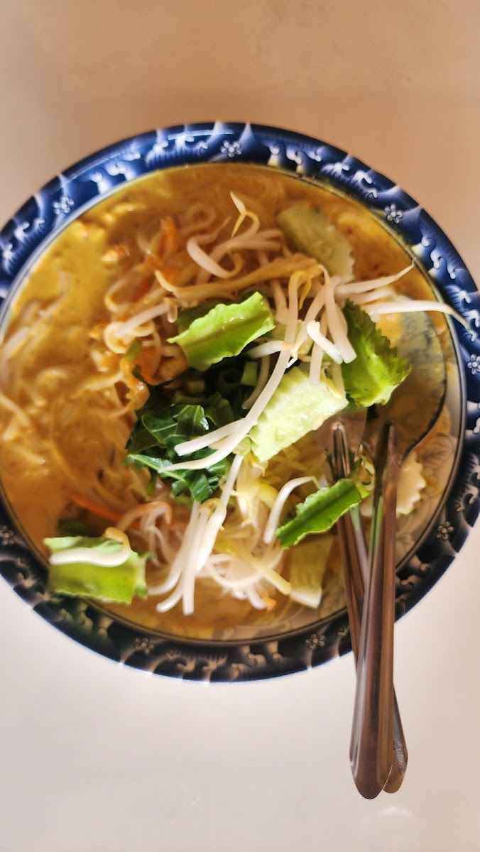 Jee Ju rice noodles and curry Photo 10