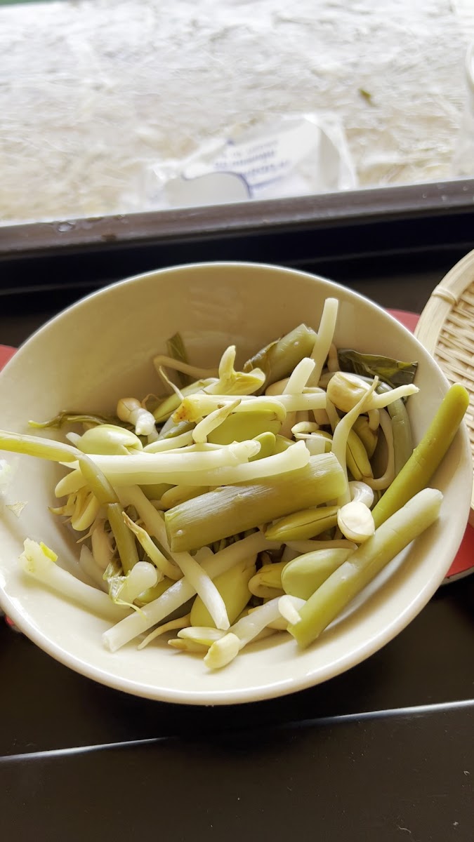 Jee Ju rice noodles and curry Photo 2