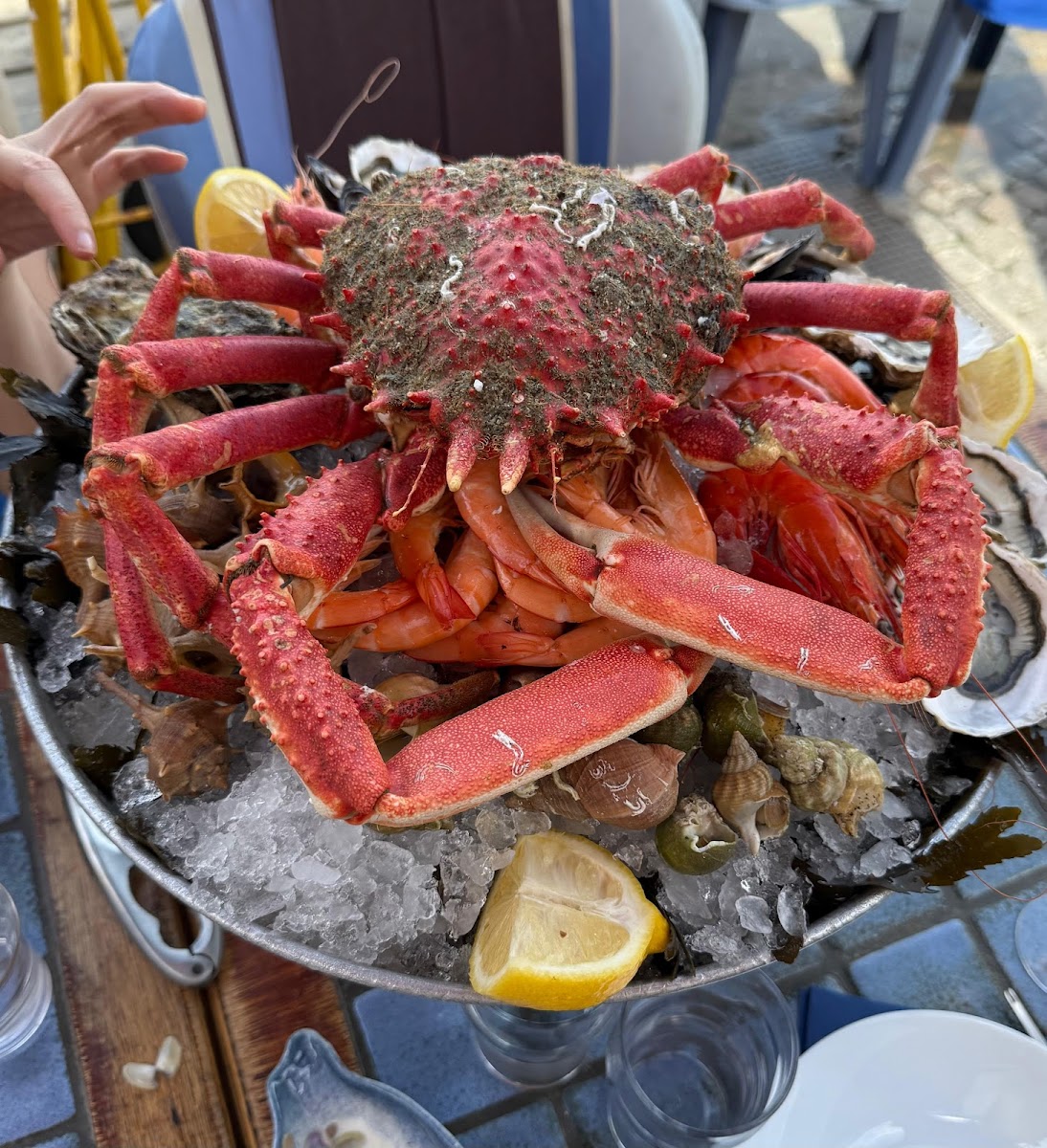 L’Aquarium Restaurant Photo 3