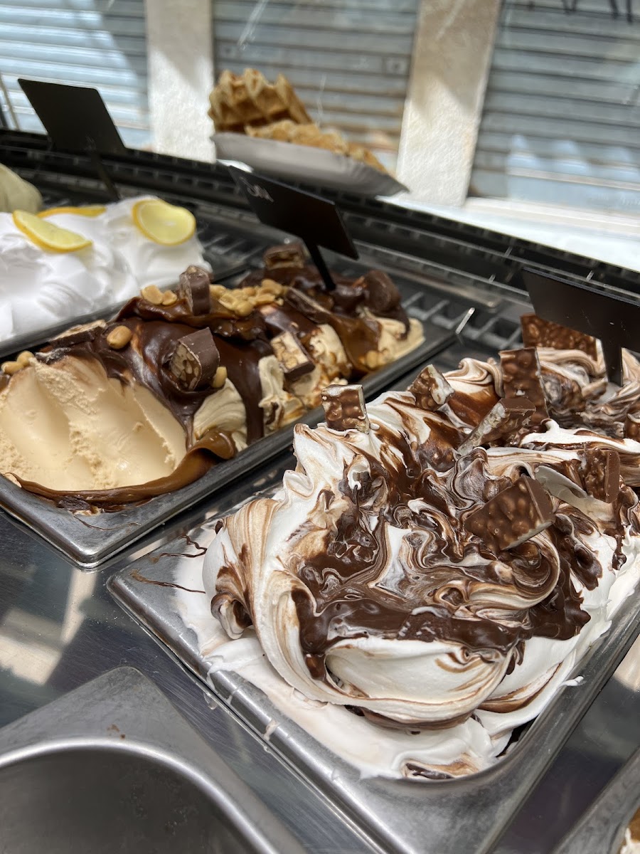 Gelato Fantasy Castello Photo 7