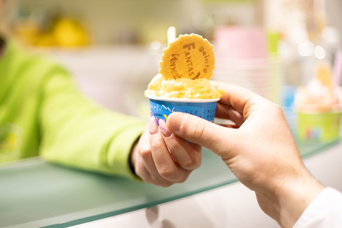 Gelato Fantasy Castello Photo 9