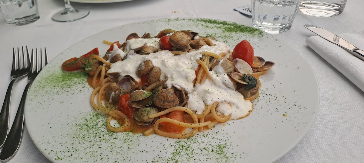 Solano Restaurant Photo 7