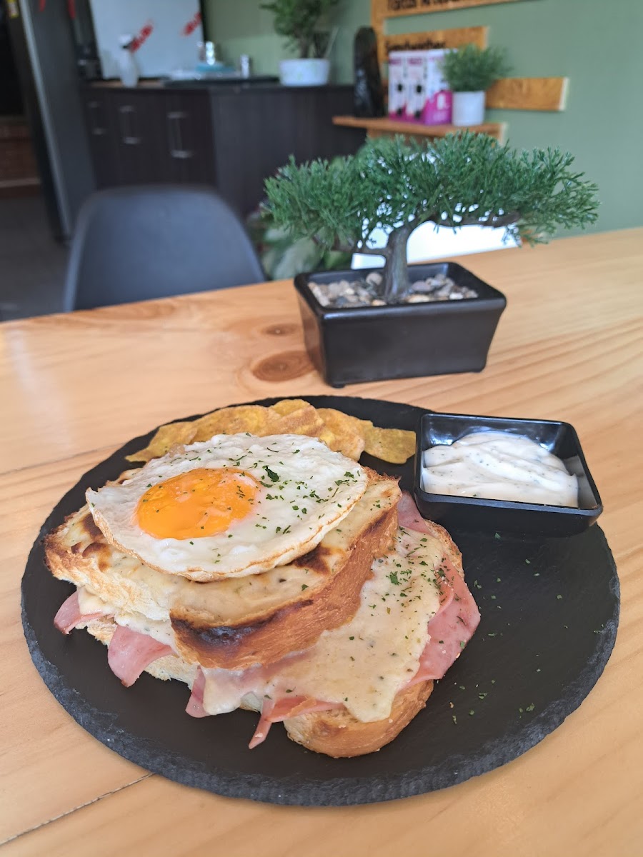 SUMA CAFE Photo 7