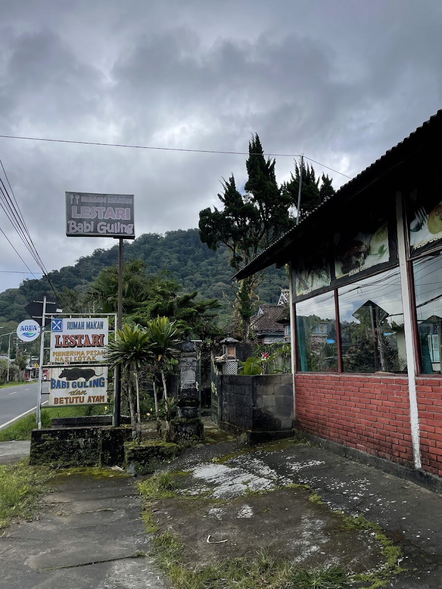 Rumah Makan Lestari Babi Guling Photo 3