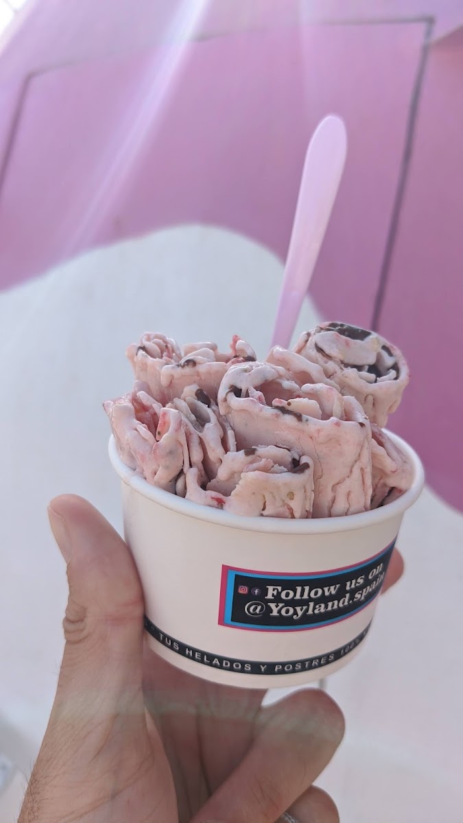 Yoyland Photo 3