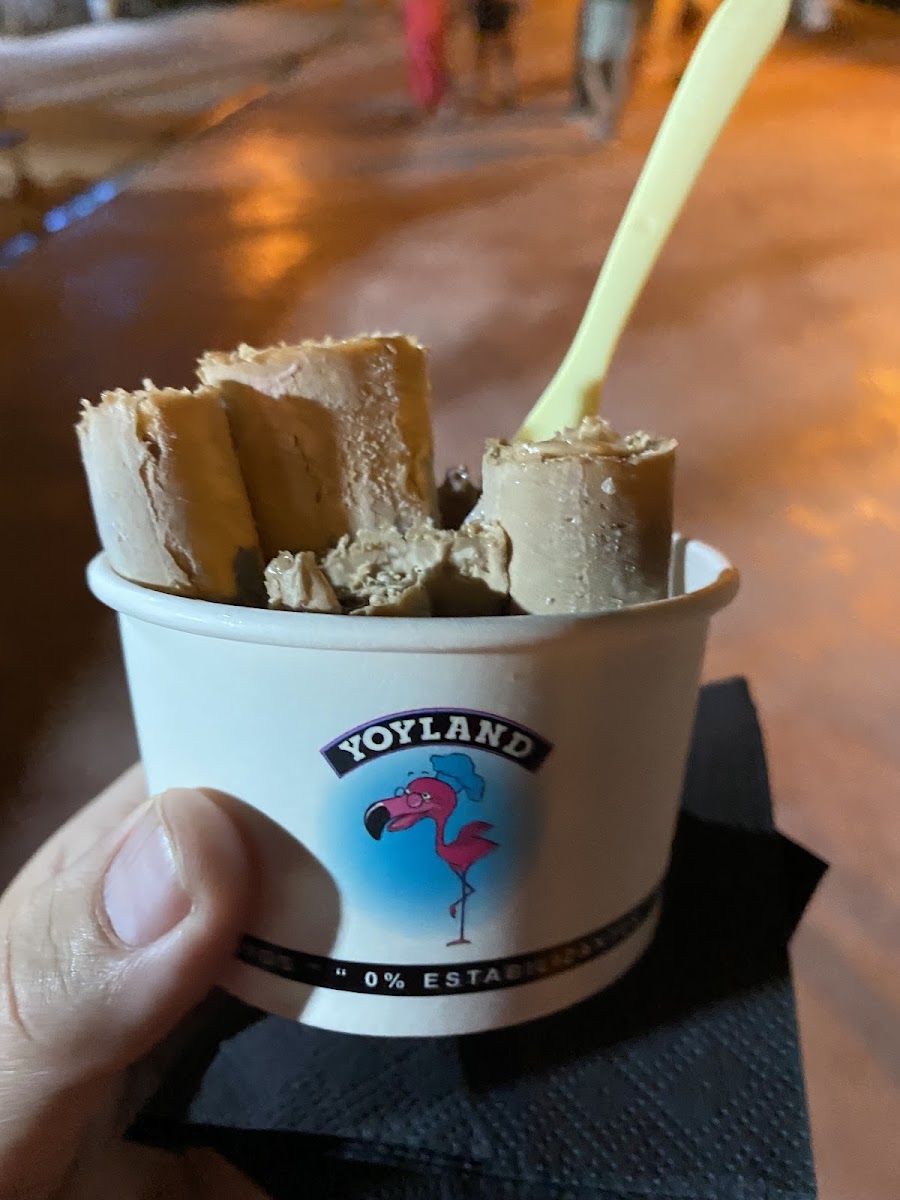 Yoyland Photo 6