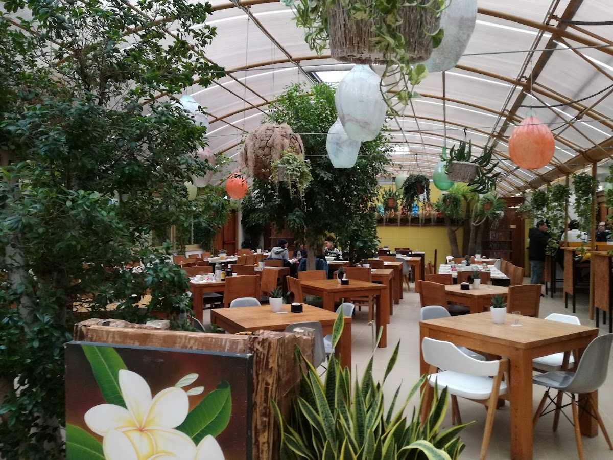 44 Gatti Bistrot