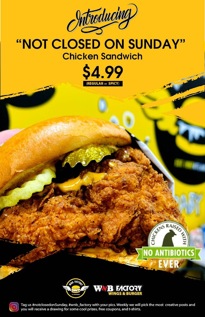 WNB Factory - Wings & Burger Photo Menu 9