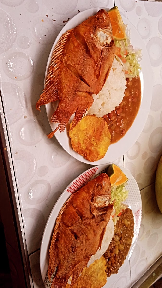 Restaurante el EDÉN Photo 6