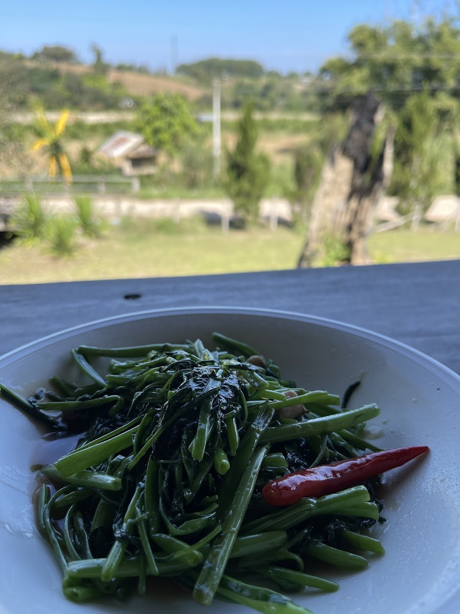 View Doi Restaurant ร้านอาหารวิวดอย Photo 8