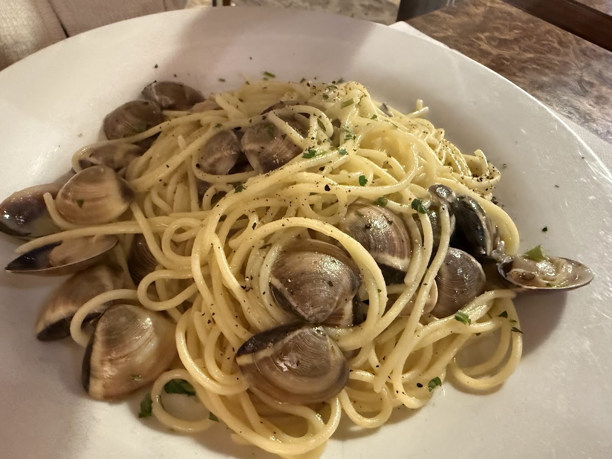 Trattoria Bella Venezia Photo 3