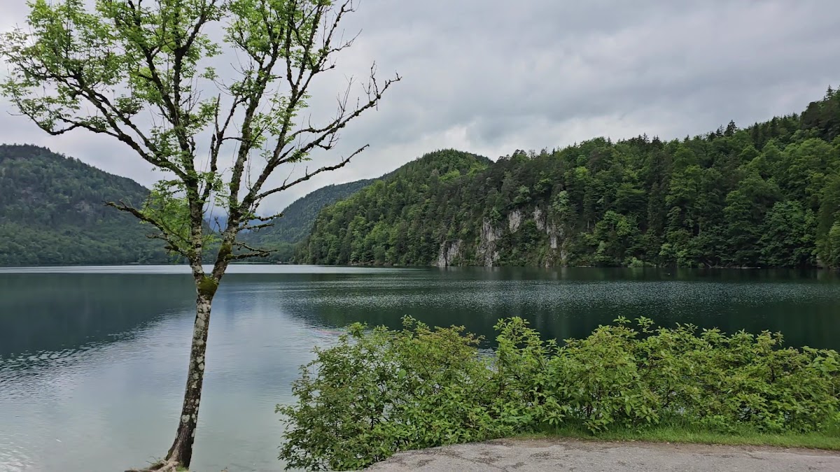Alpenrose am See Photo 2