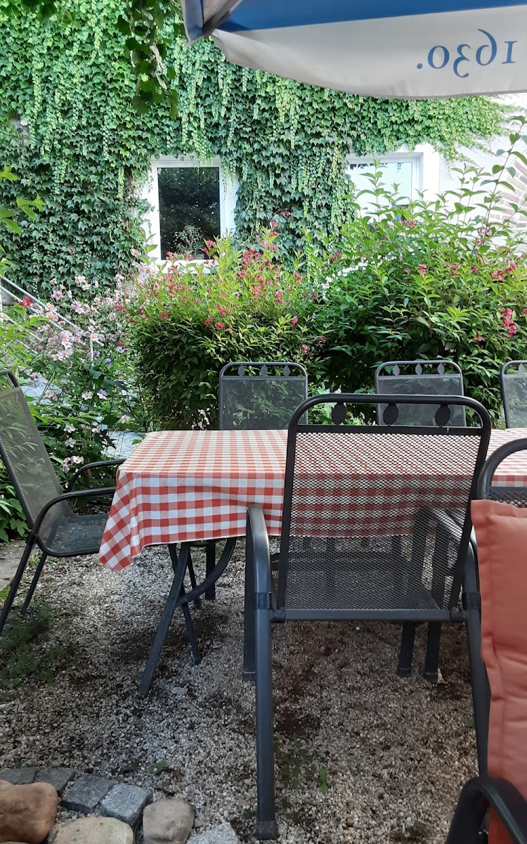 Restaurant da Enzo Photo 4