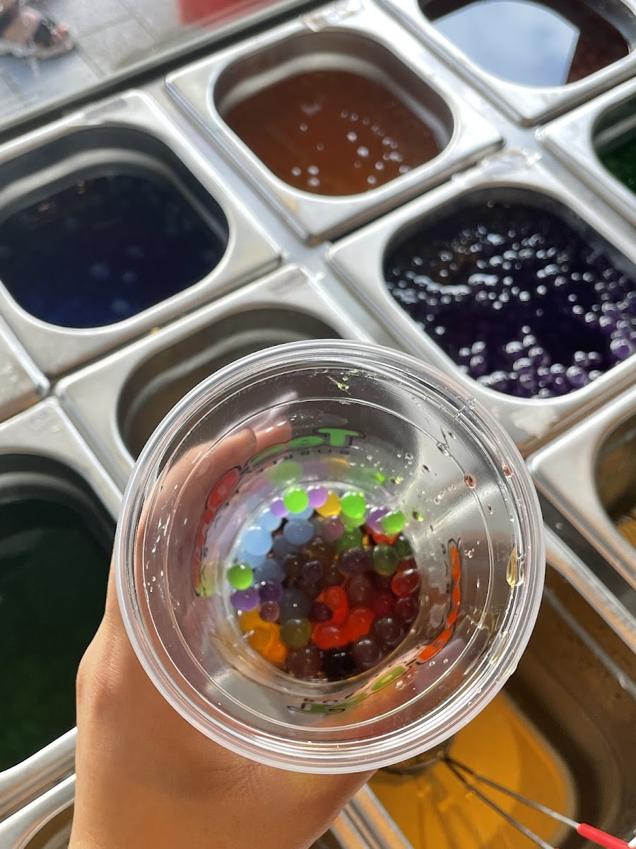 Panda Bubble Tea Photo 4