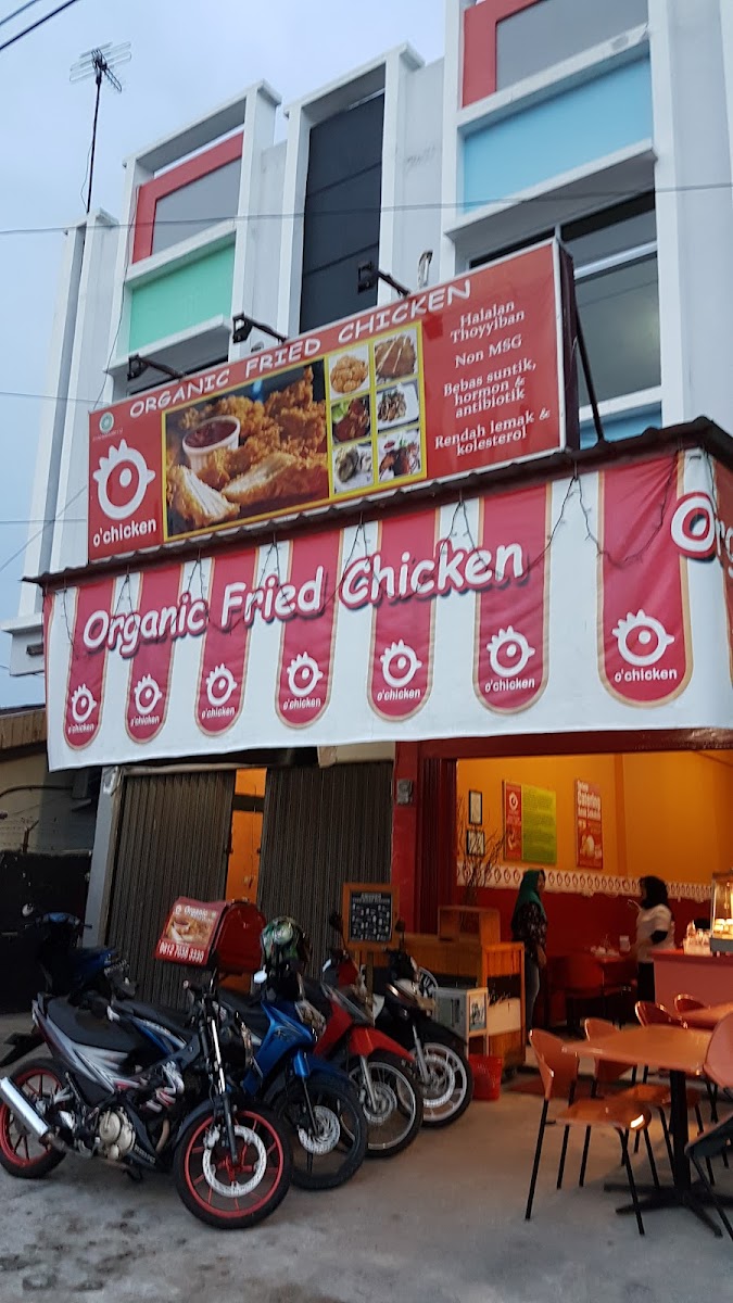 Organic Fried Chicken