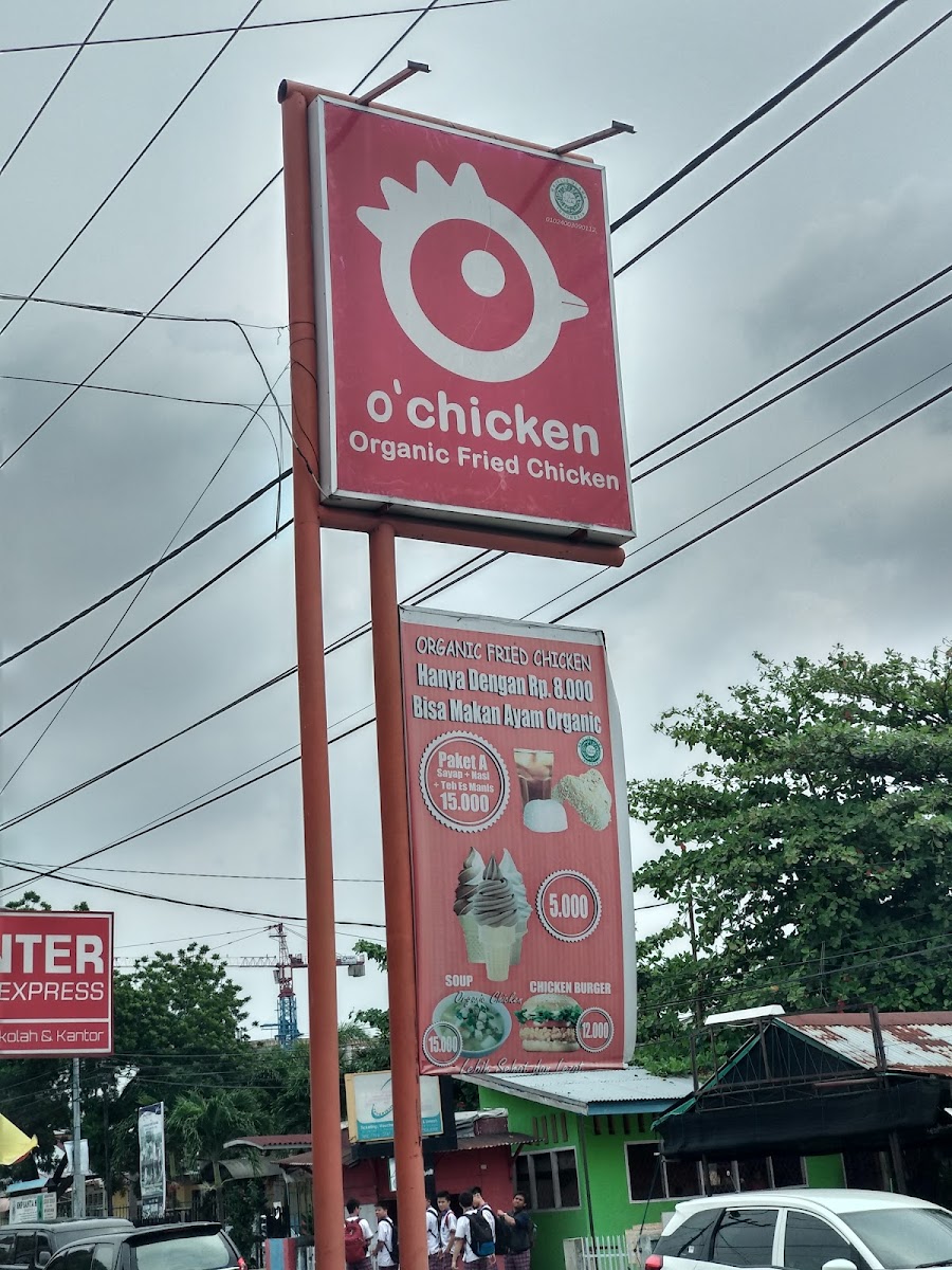 Organic Fried Chicken Photo 4