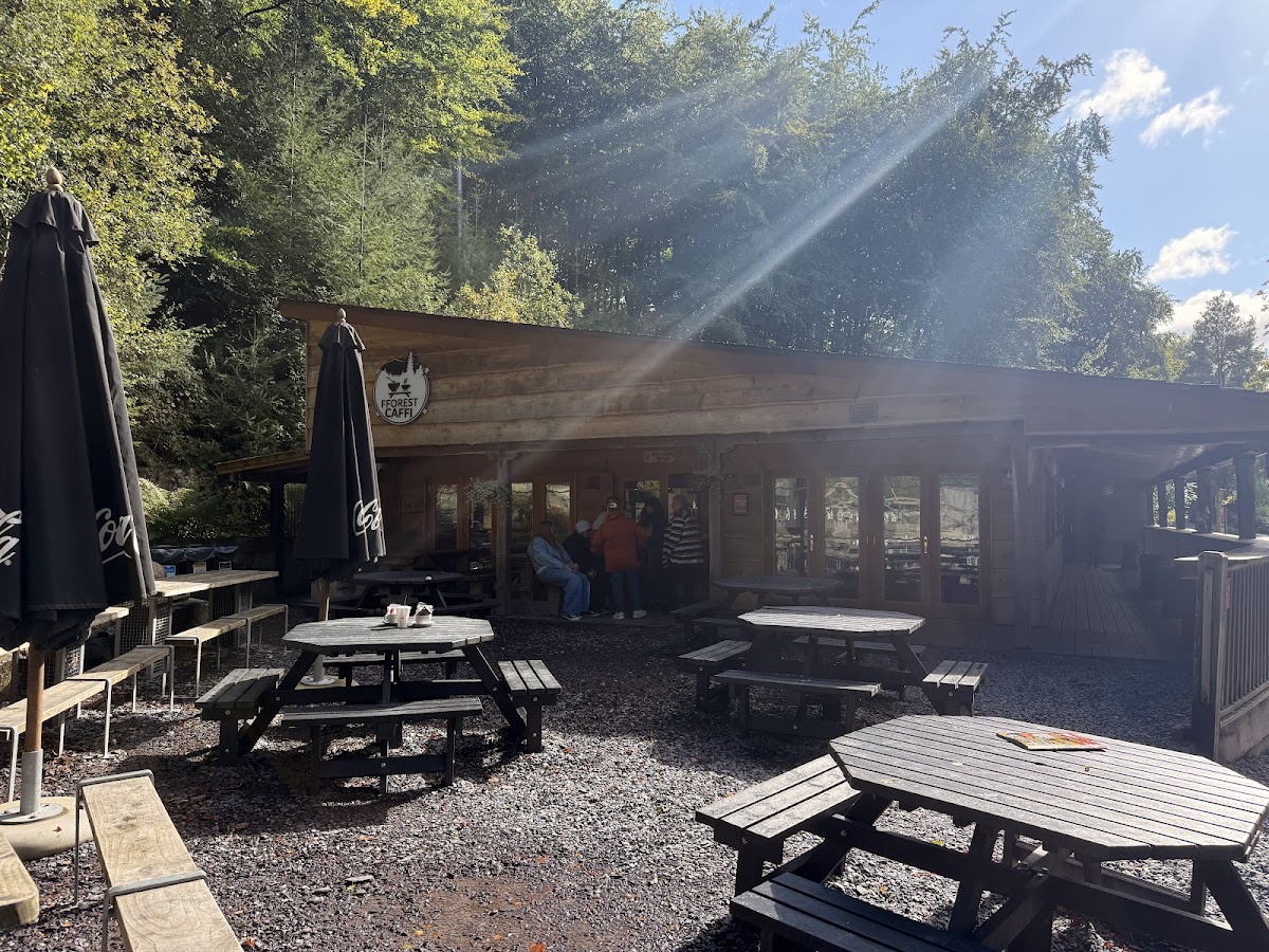 Fforest Caffi