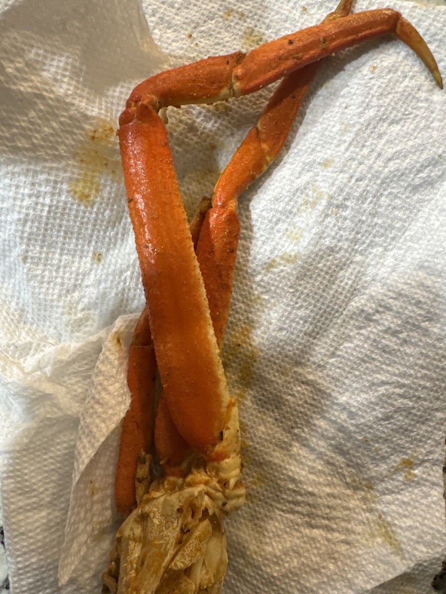 King Cajun Seafood - Savannah Photo 7