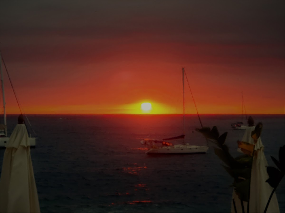 SunSeaBar Photo 4