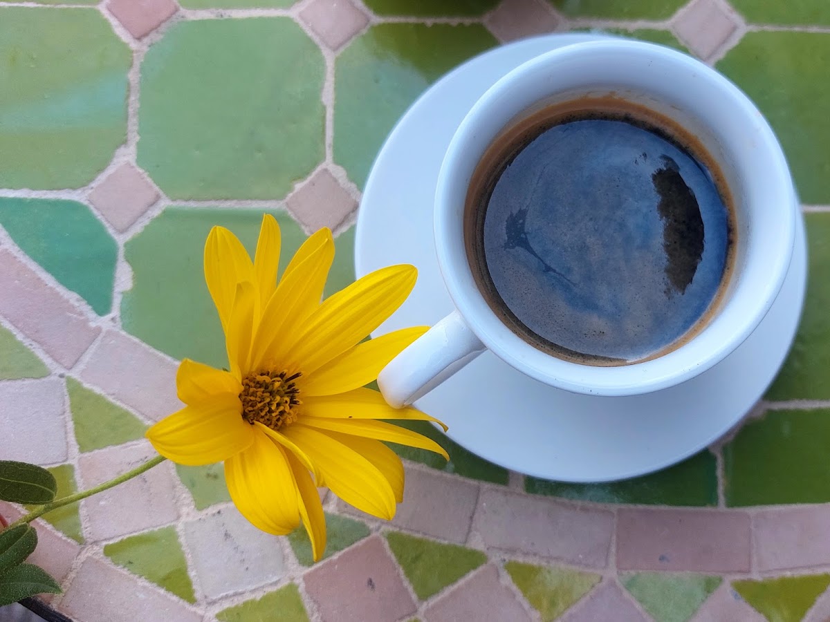 Café Maalle Photo 10
