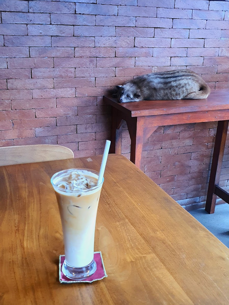 Warung Buana coffee and cocktail Photo 8