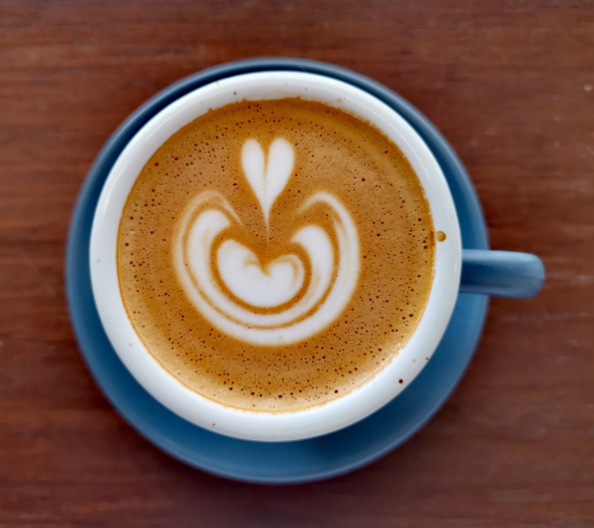 Reframe Coffee Roasters Photo 5