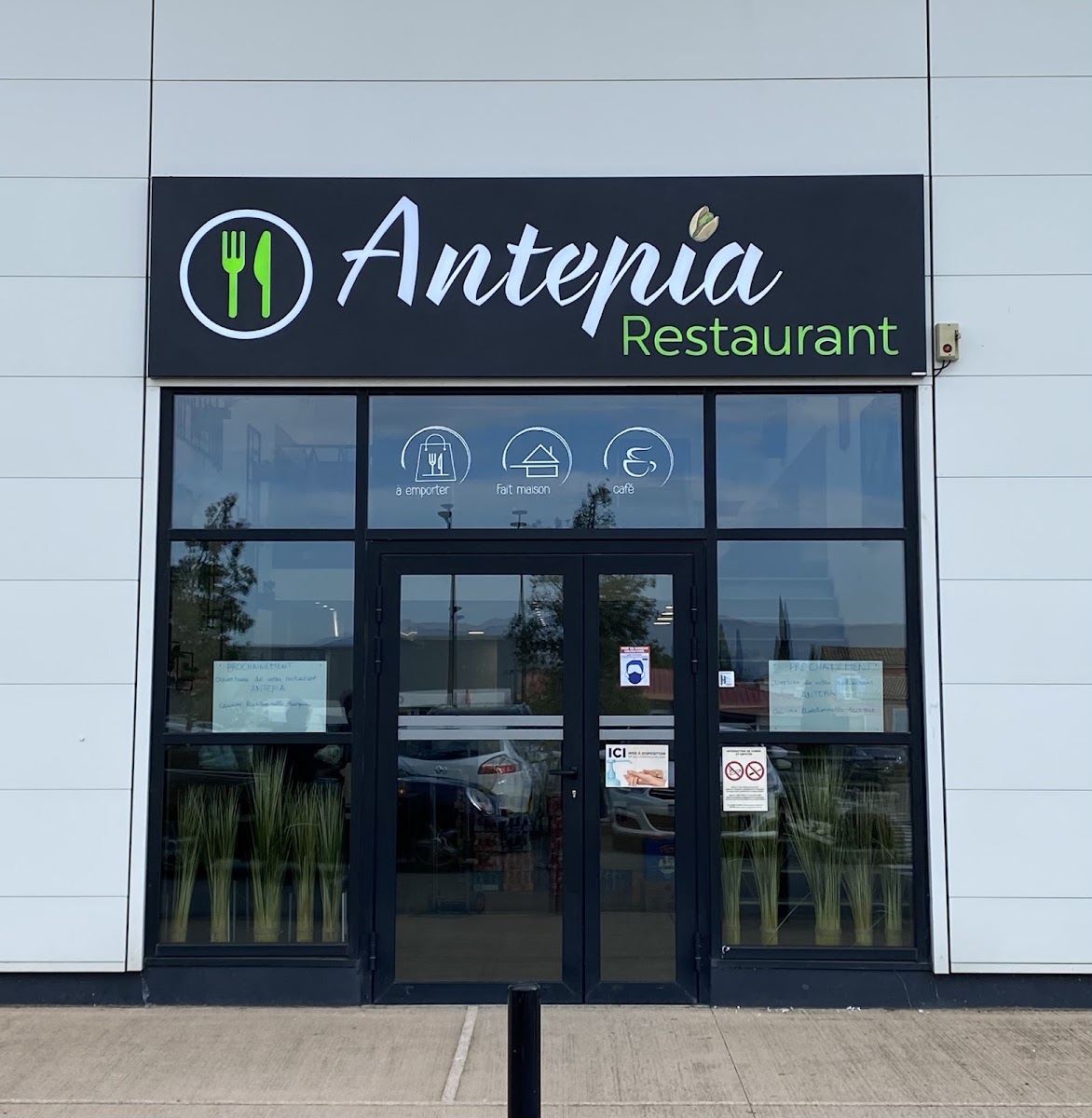 Antepia