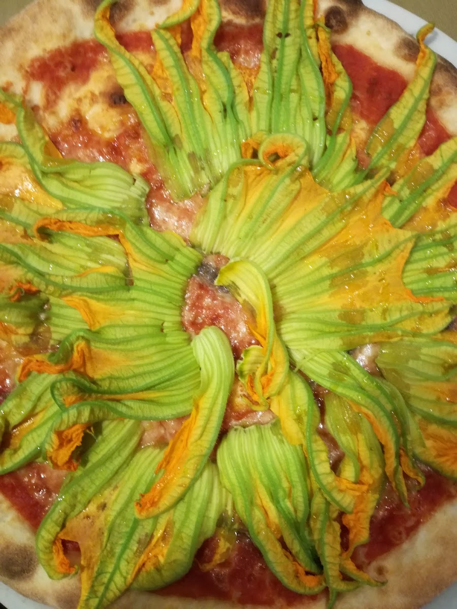 Pizzeria Doppiozero Photo 9