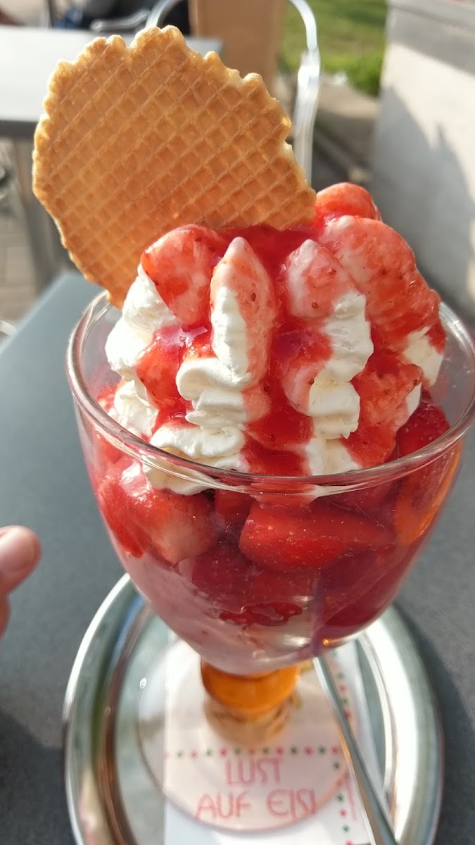 Bar Gelateria Caputo Photo 5