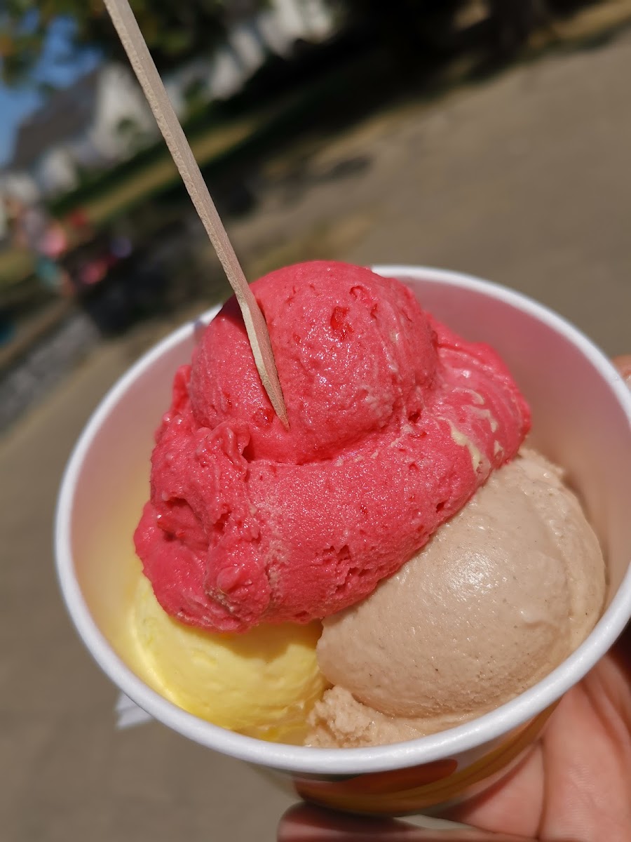 Bar Gelateria Caputo Photo 7