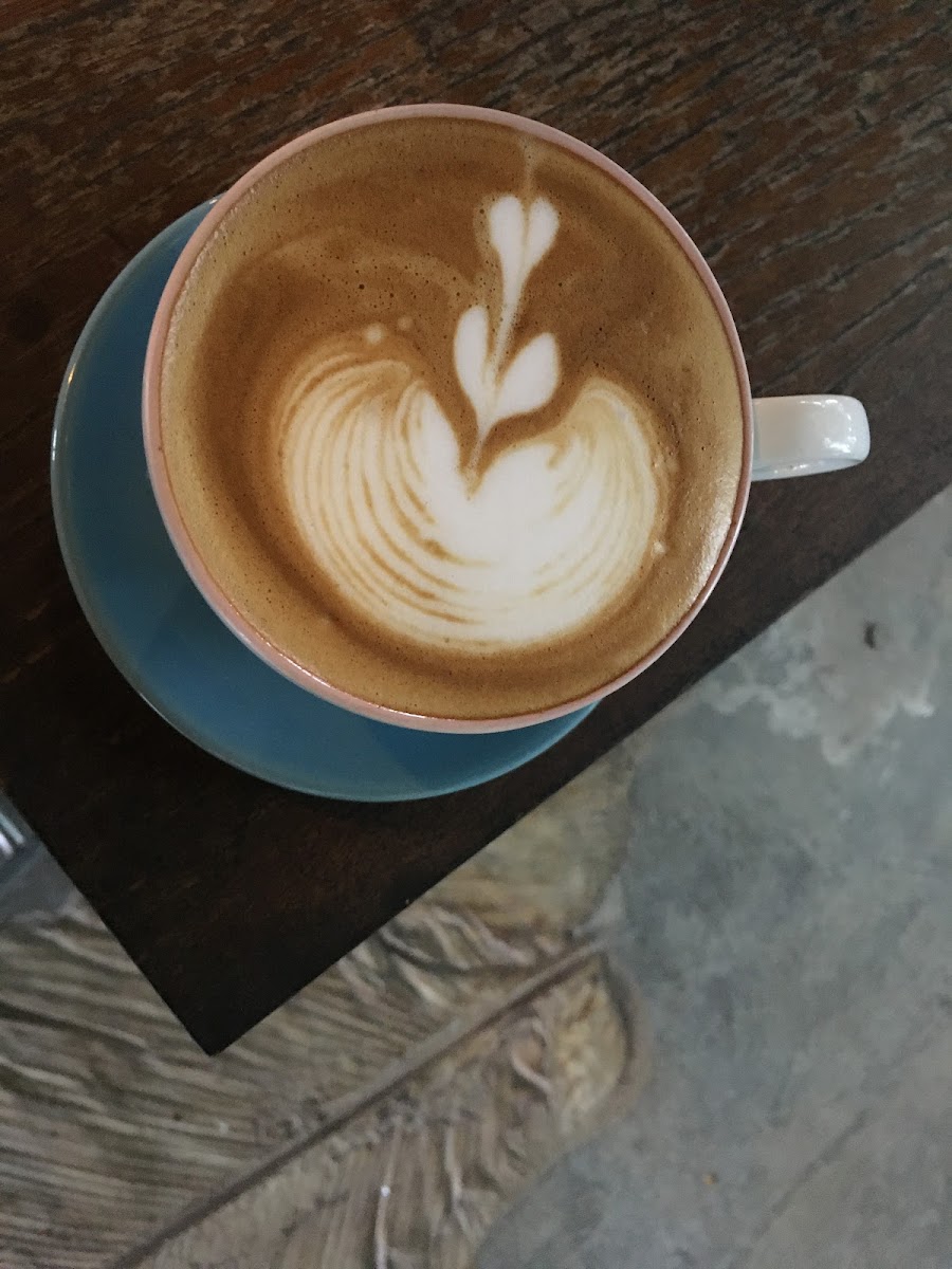 Warna Kopi Photo 10