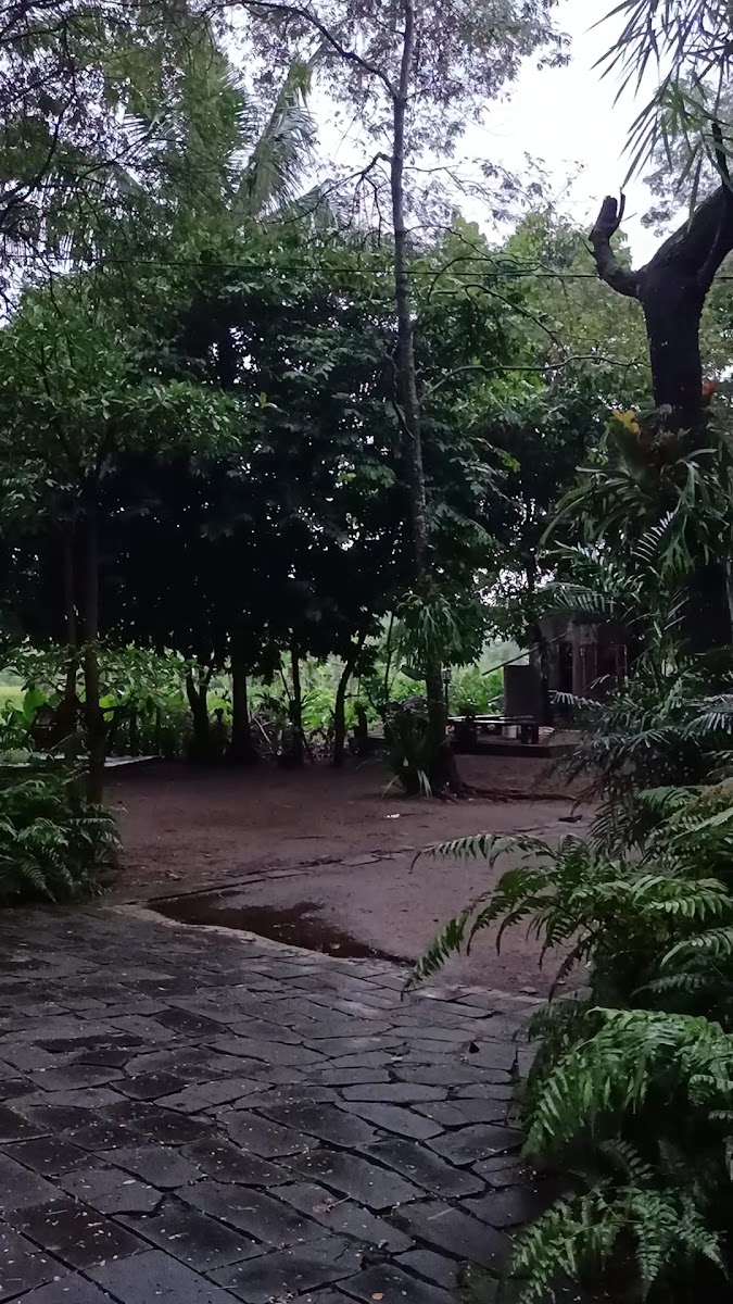 Warna Kopi Photo 2
