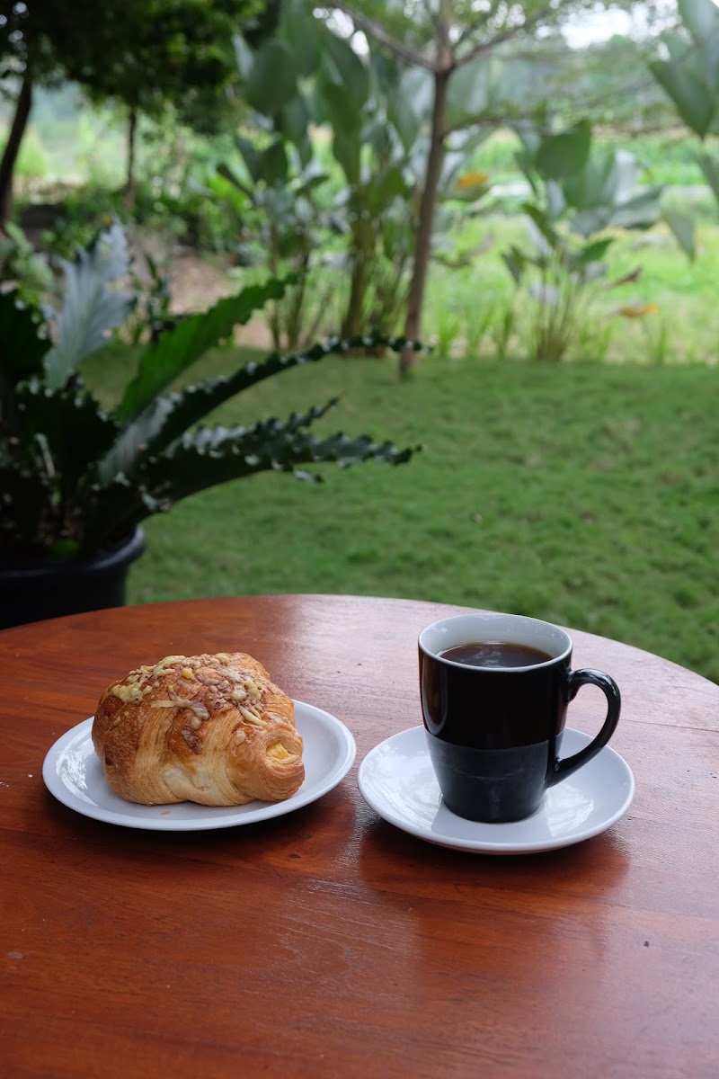 Warna Kopi Photo 3