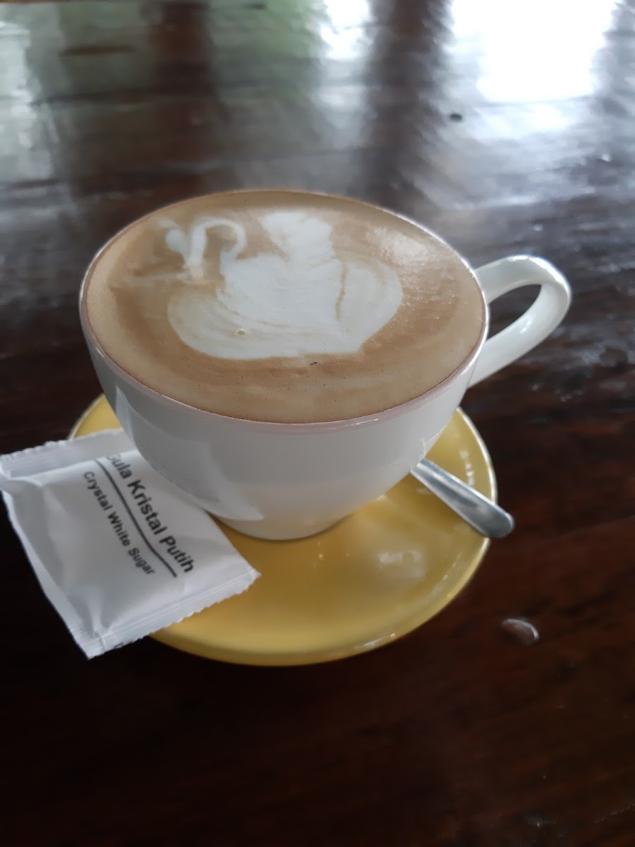 Warna Kopi Photo 5