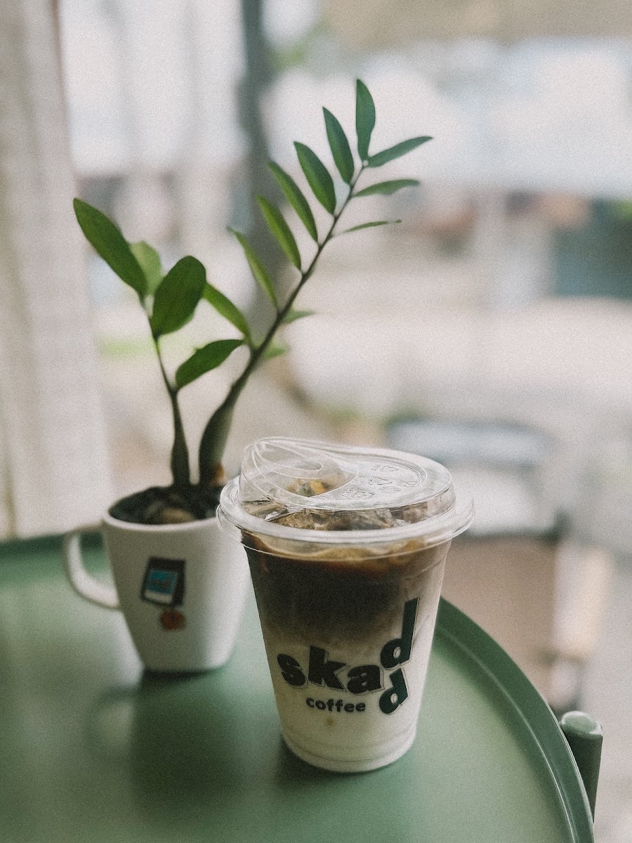 skadd coffee - สกัด คอฟฟี่ Photo 7