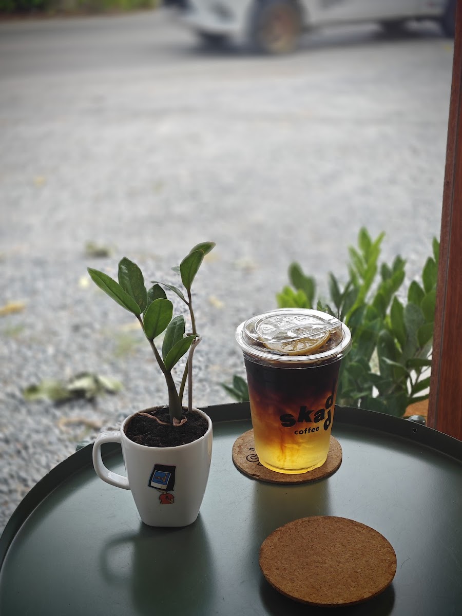skadd coffee - สกัด คอฟฟี่ Photo 8