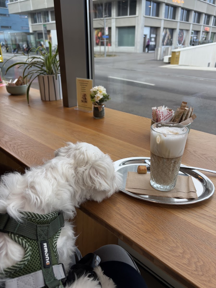 Bäckerei Weizenkorn Dreispitz Photo 10