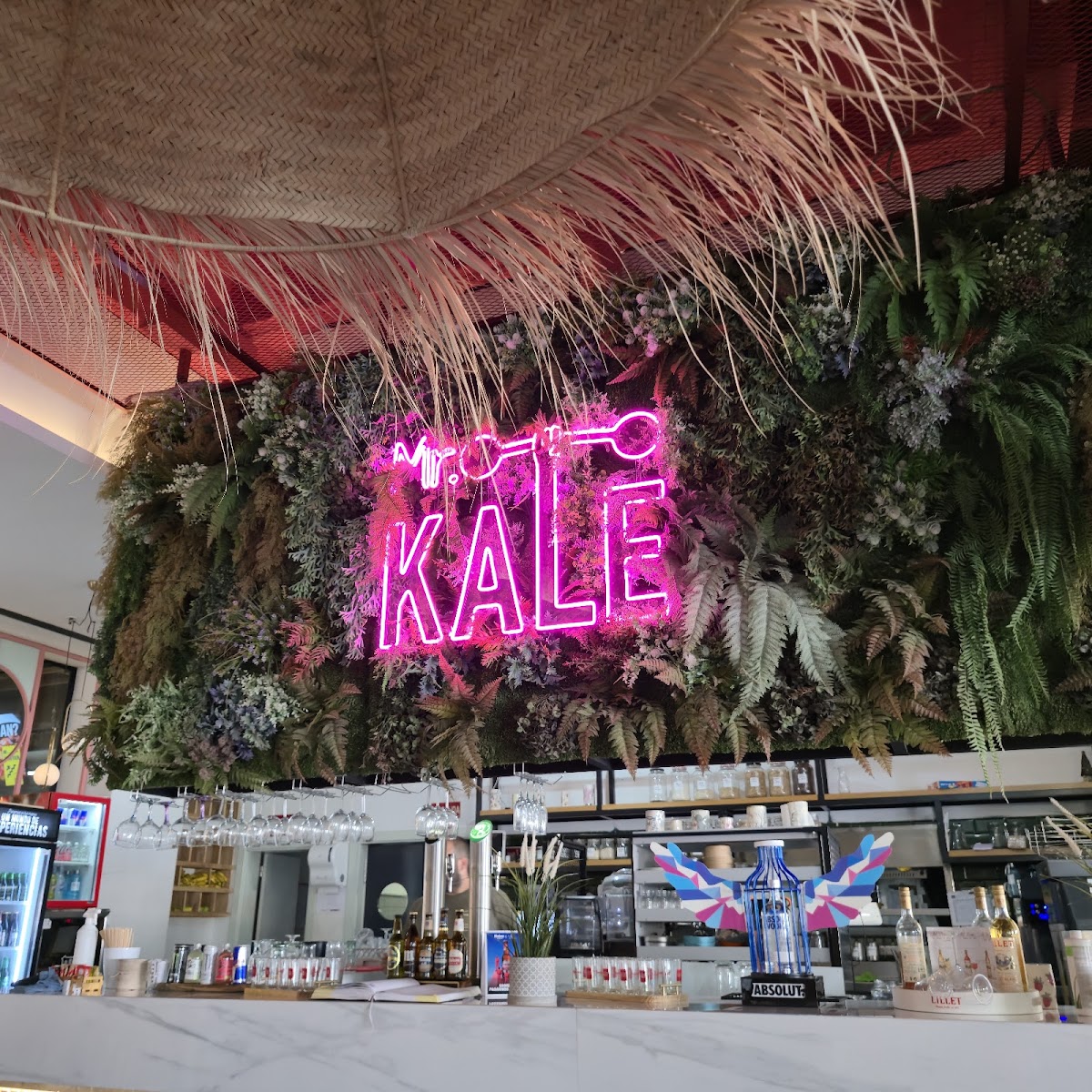 Mr. Kale