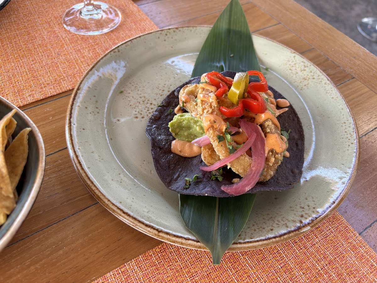 Agave. Restaurant mexicano Photo 3