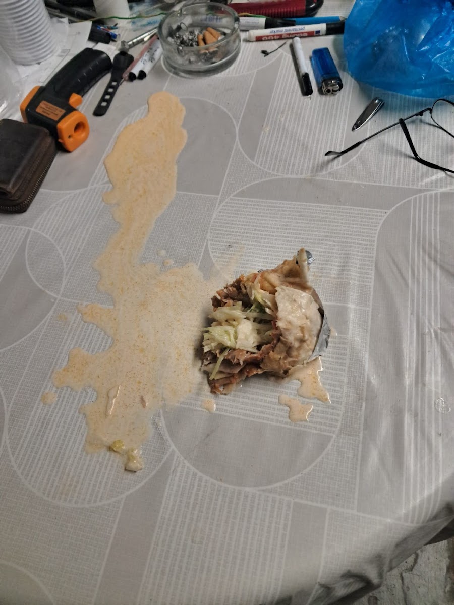 Alanya Kebap und Pizzahaus Photo 9